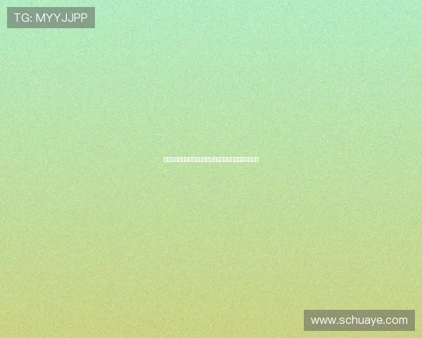 携手共创合作共赢新未来推动中韩关系迈向更加美好的新时代